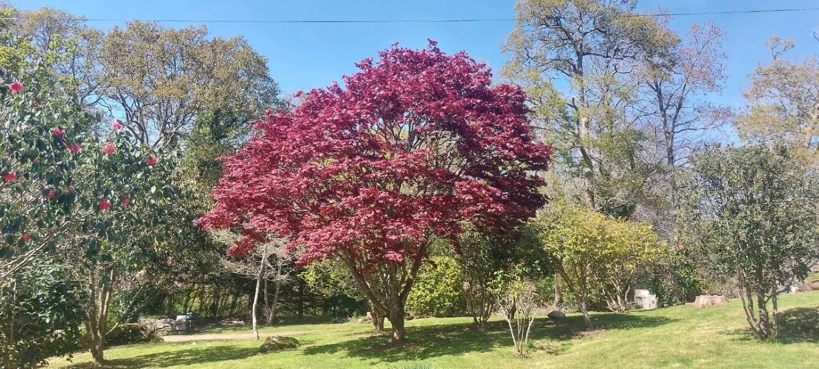 Maison Au Bord De L'Aven Riec-sur-Bélon Frankrike